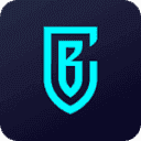 Betcity NL bookmaker logo